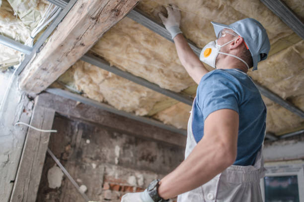 Insulation Contractors for Homes in Kingsley, MI