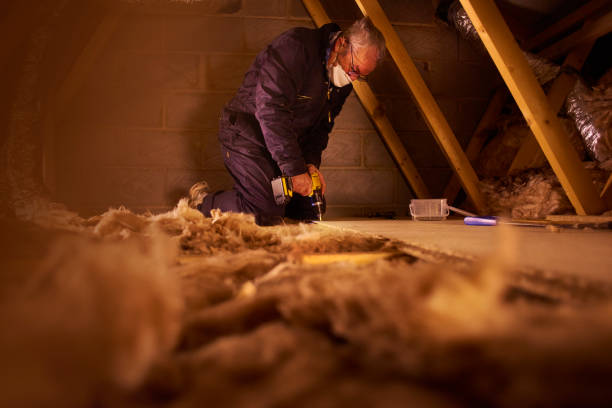 Best Fiberglass Insulation  in Kingsley, MI